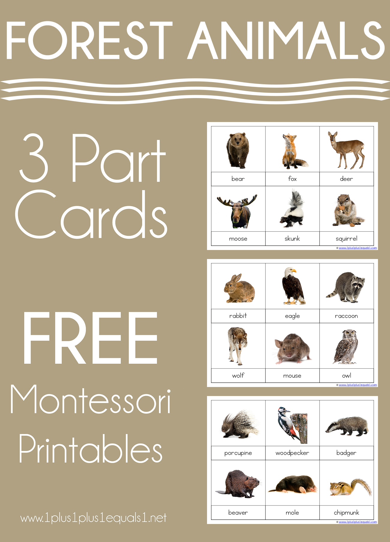 Forest Animals Montessori Printables FREE 3 Part Cards 1 1 1u003d1