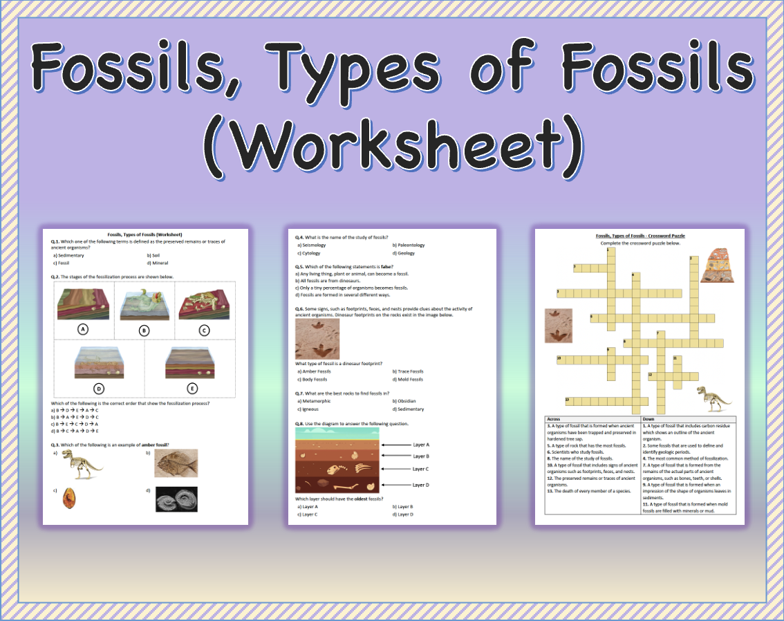 Fossils Types Of Fossils Worksheet Printable And Distance 