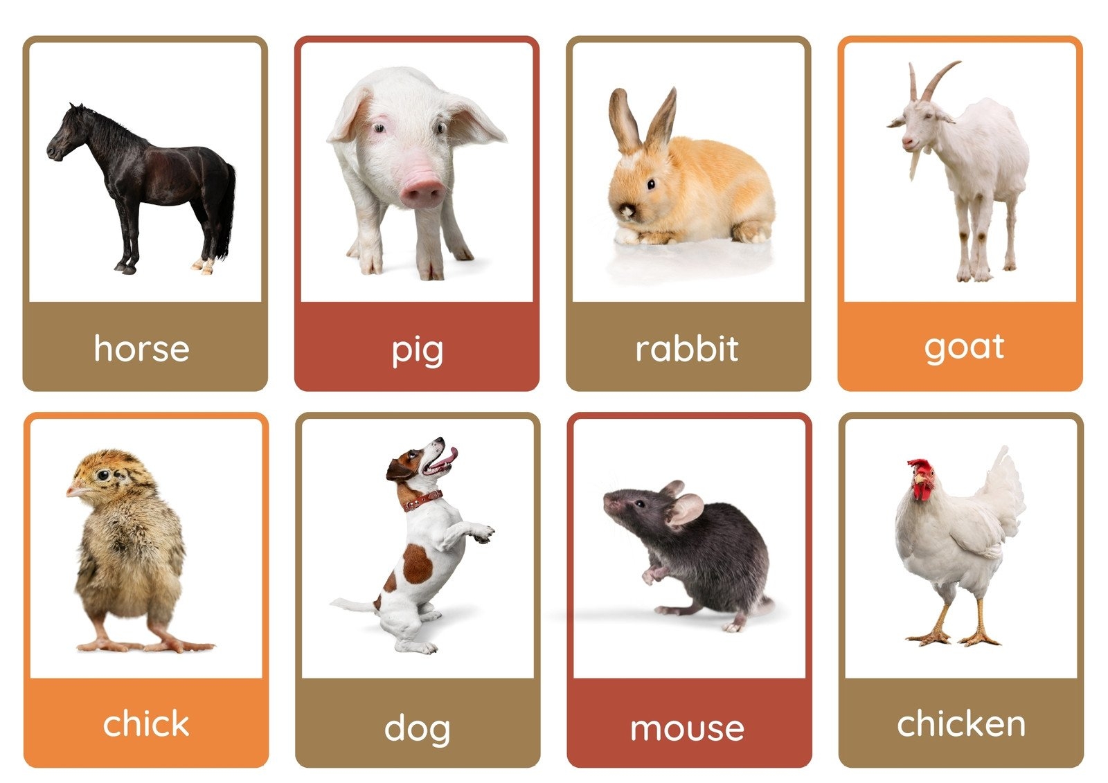 Free Animal Flashcards To Customize And Print Canva Free Animal Flashcards To Customize And Print Canva