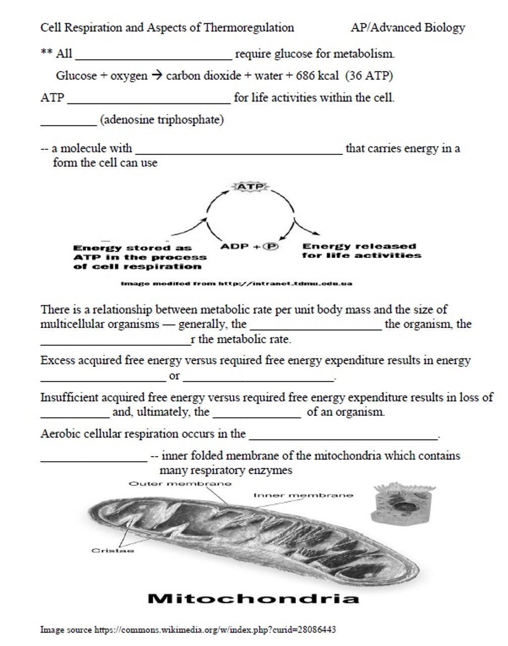 Free Ap Biology Worksheet Download Free Ap Biology Worksheet Png Images Free Worksheets On Clipart Library Free Ap Biology Worksheet Download Free Ap Biology Worksheet Png Images Free Worksheets On Clipart Library