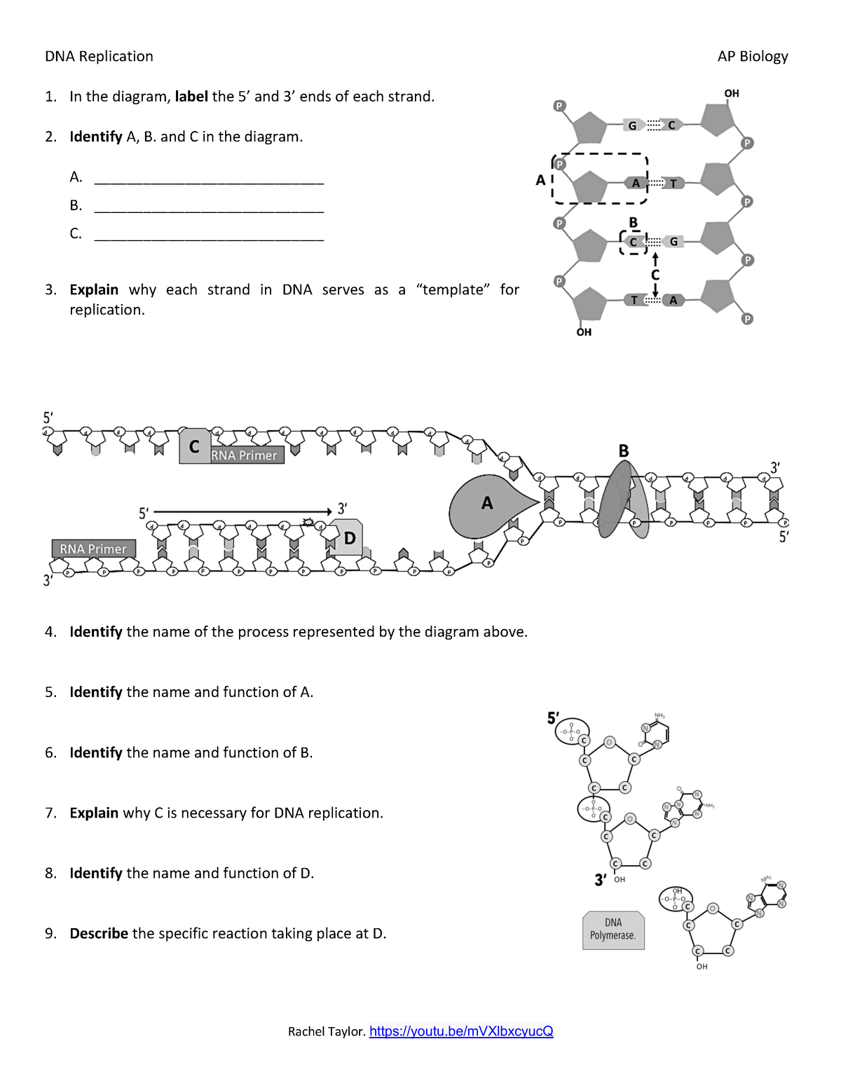 Free Ap Biology Worksheet Download Free Ap Biology Worksheet Png Images Free Worksheets On Clipart Library Free Ap Biology Worksheet Download Free Ap Biology Worksheet Png Images Free Worksheets On Clipart Library