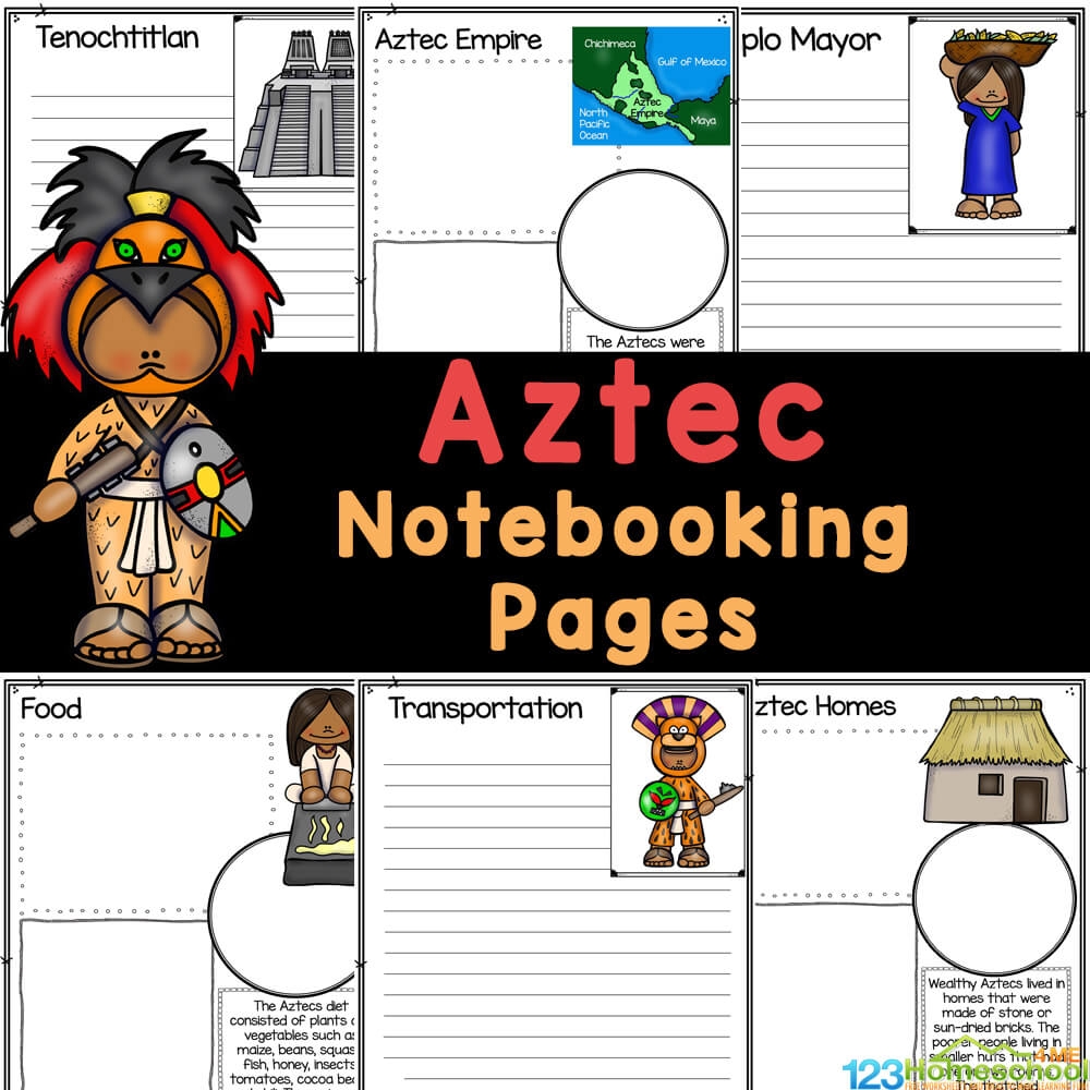 Gulf Printable Worksheets Second Grade