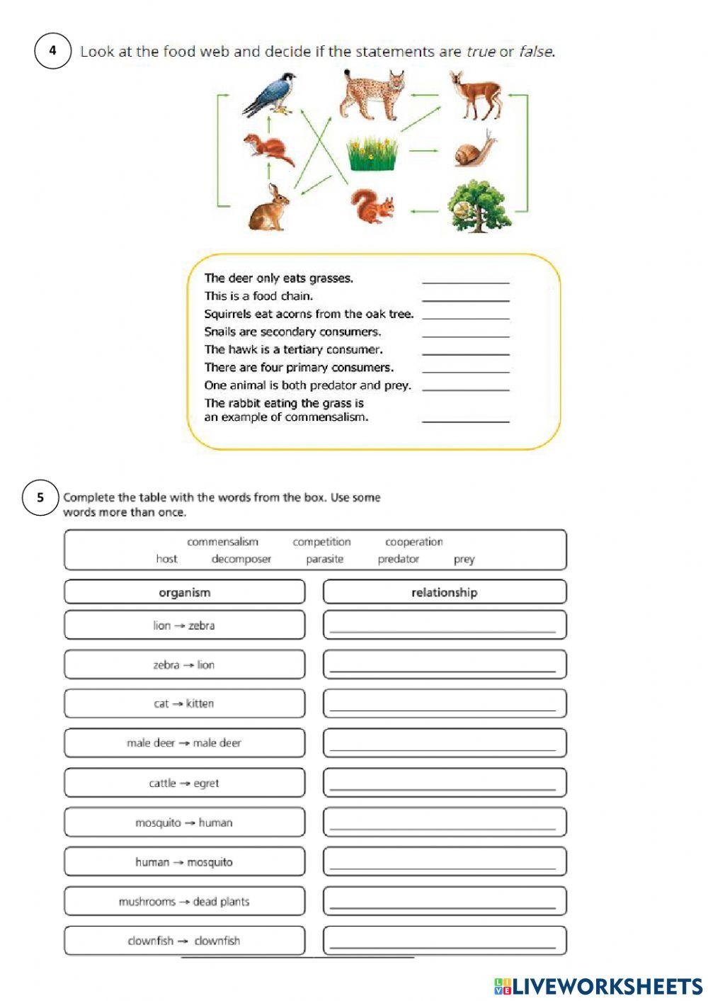 Free Biosphere Worksheet Download Free Biosphere Worksheet Png Images Free Worksheets On Clipart Library
