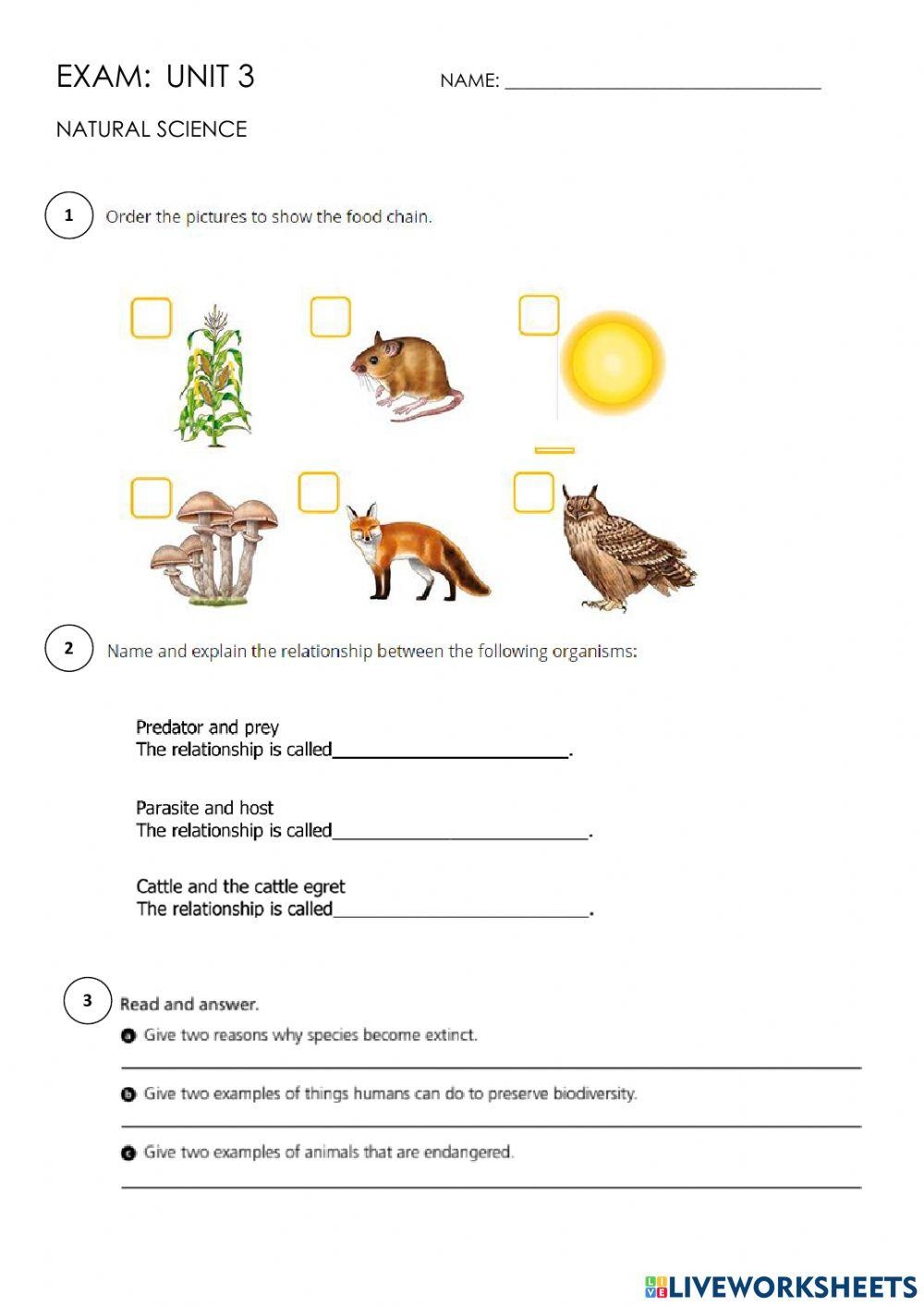 Free Biosphere Worksheet Download Free Biosphere Worksheet Png Images Free Worksheets On Clipart Library
