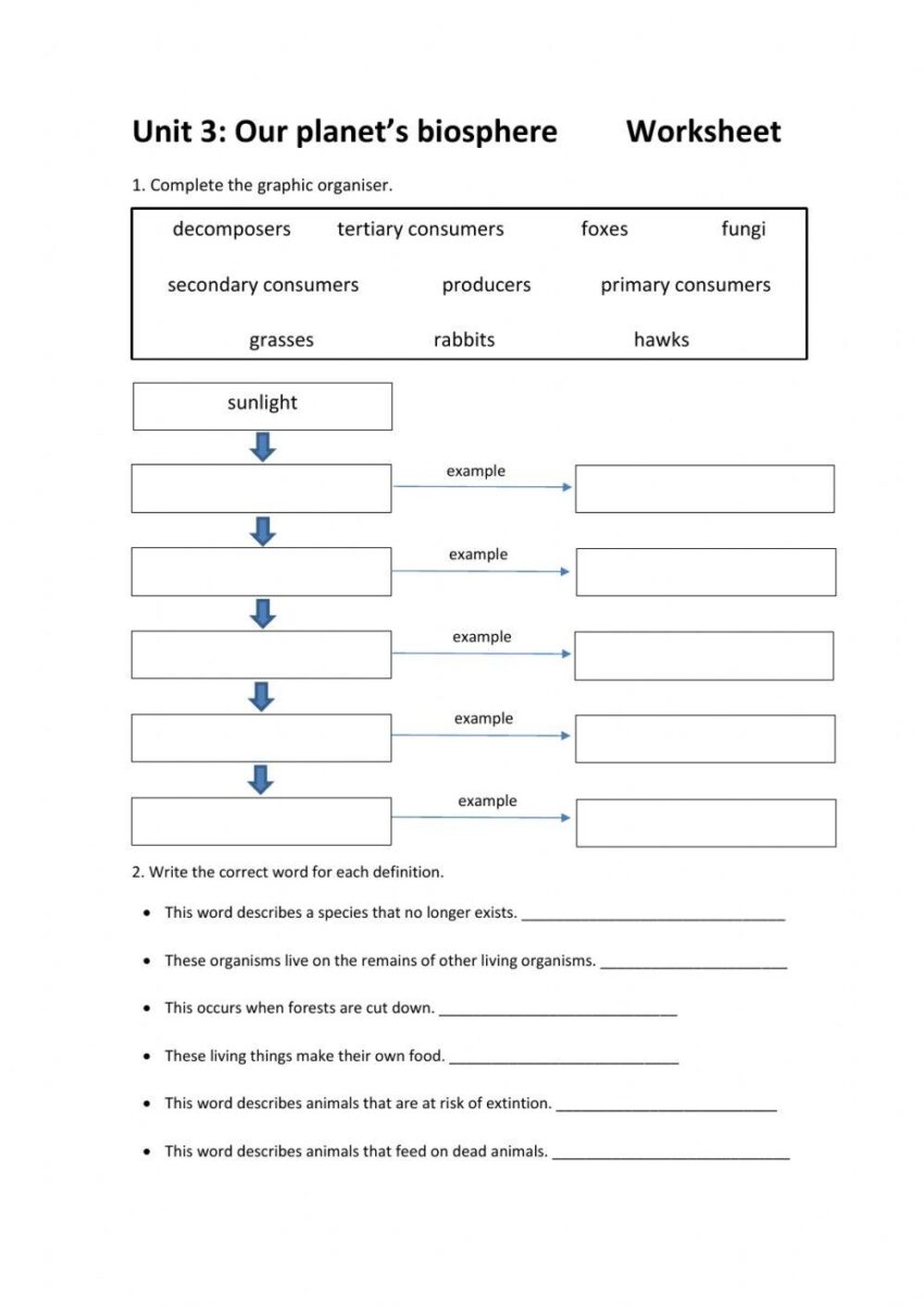 Free Biosphere Worksheet Download Free Biosphere Worksheet Png Images Free Worksheets On Clipart Library