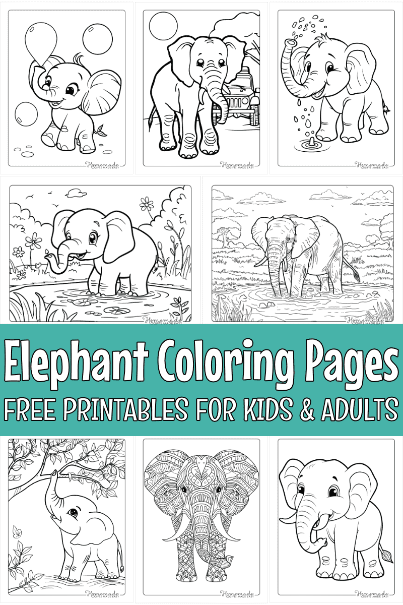 Free Elephant Coloring Pages Printable PDF Free Elephant Coloring Pages Printable PDF