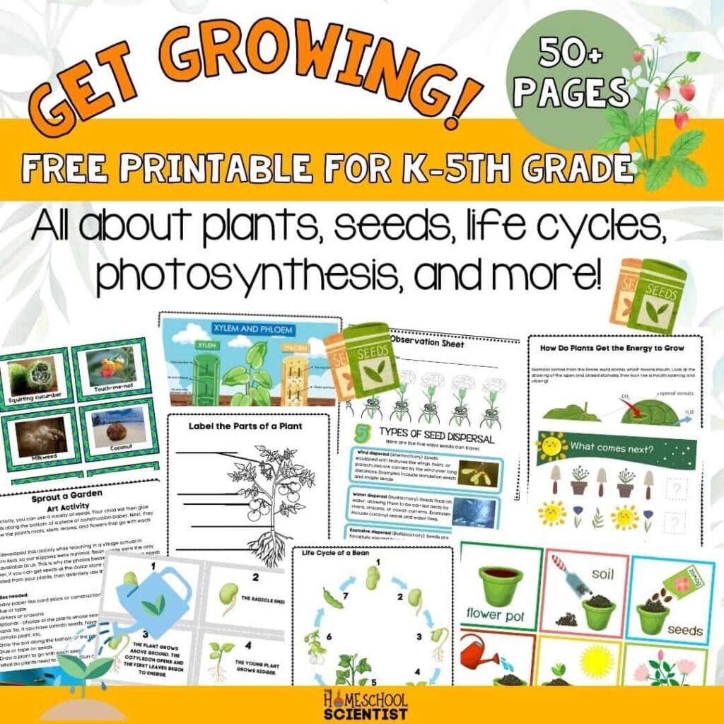 FREE Homeschool Science Printables The Homeschool Scientist FREE Homeschool Science Printables The Homeschool Scientist