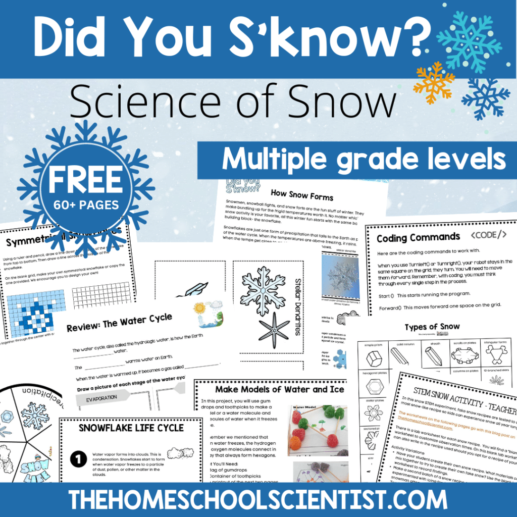 Free Homeschool Printable Science Worksheets Free Homeschool Printable Science Worksheets