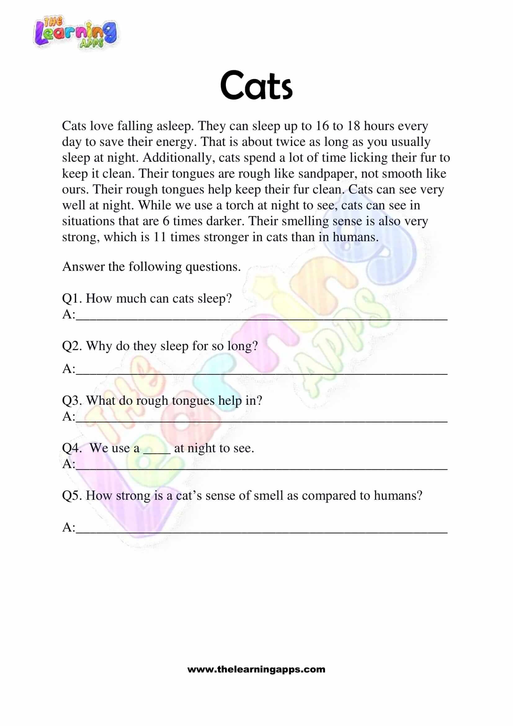 Free Non Fiction Reading Passages Worksheets For Grade 1 Free Non Fiction Reading Passages Worksheets For Grade 1