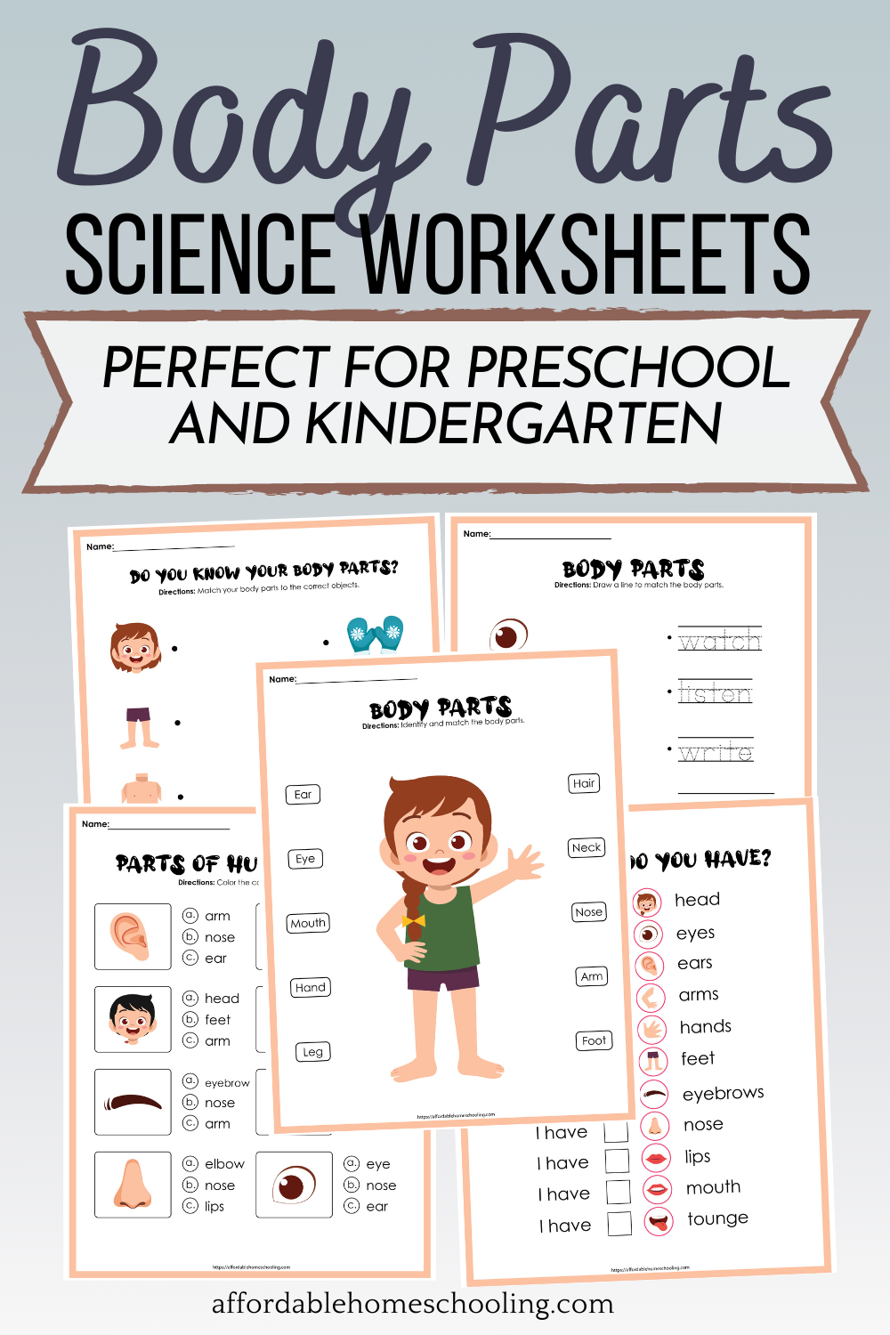 Free Parts Of The Body Worksheets For Preschoolers Worksheets Library Free Parts Of The Body Worksheets For Preschoolers Worksheets Library