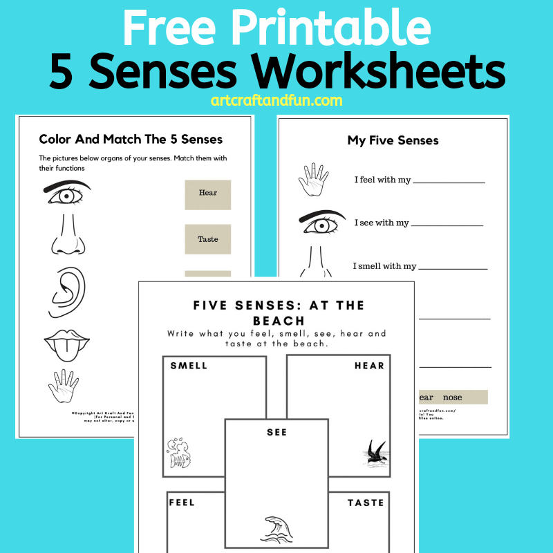 Free Printable 5 Senses Worksheets Worksheets Library Free Printable 5 Senses Worksheets Worksheets Library