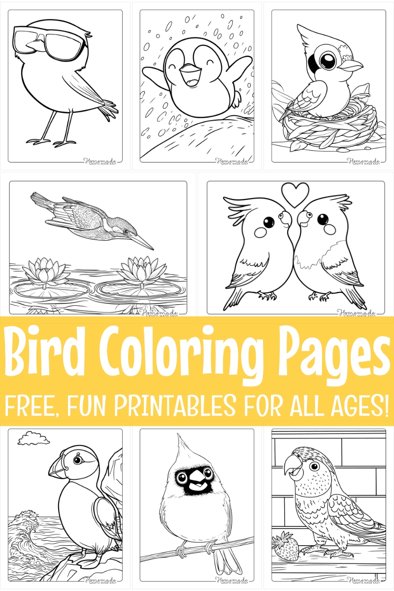 Free Printable Bird Coloring Pages For Kids U0026 Adults