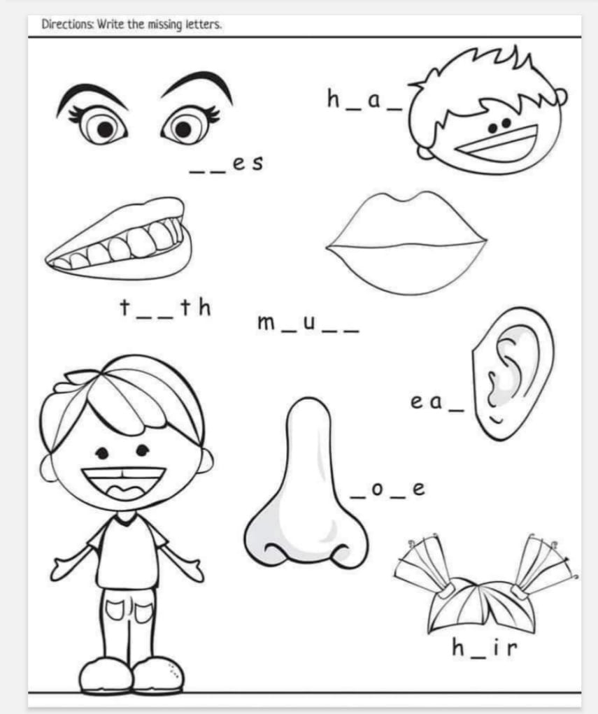Free Printable Body Parts Worksheets Pdf Activity School For Kids Free Printable Body Parts Worksheets Pdf Activity School For Kids