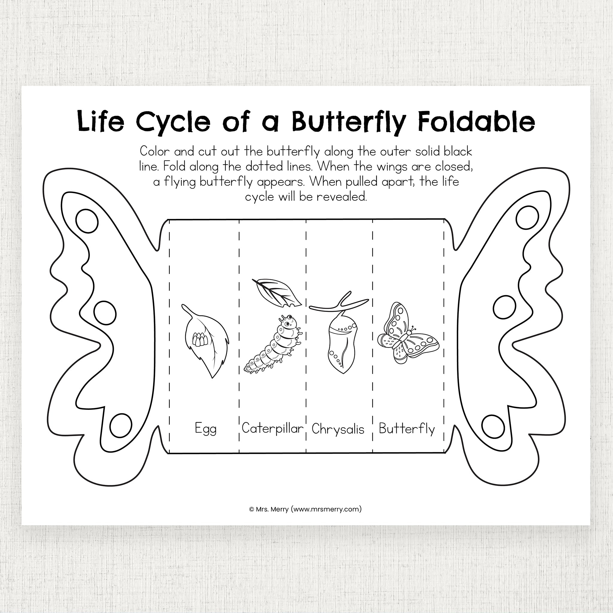 Butterfly Life Cycle Free Printable Worksheet