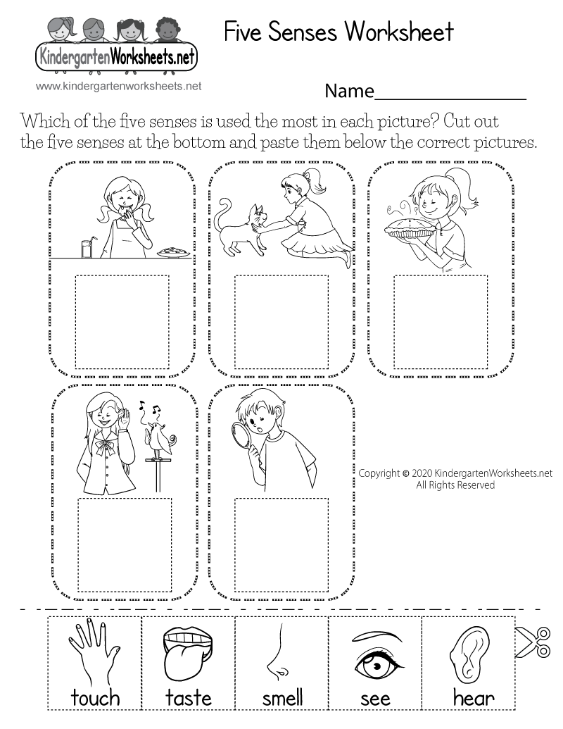 Five Senses For Preschoolers Printables