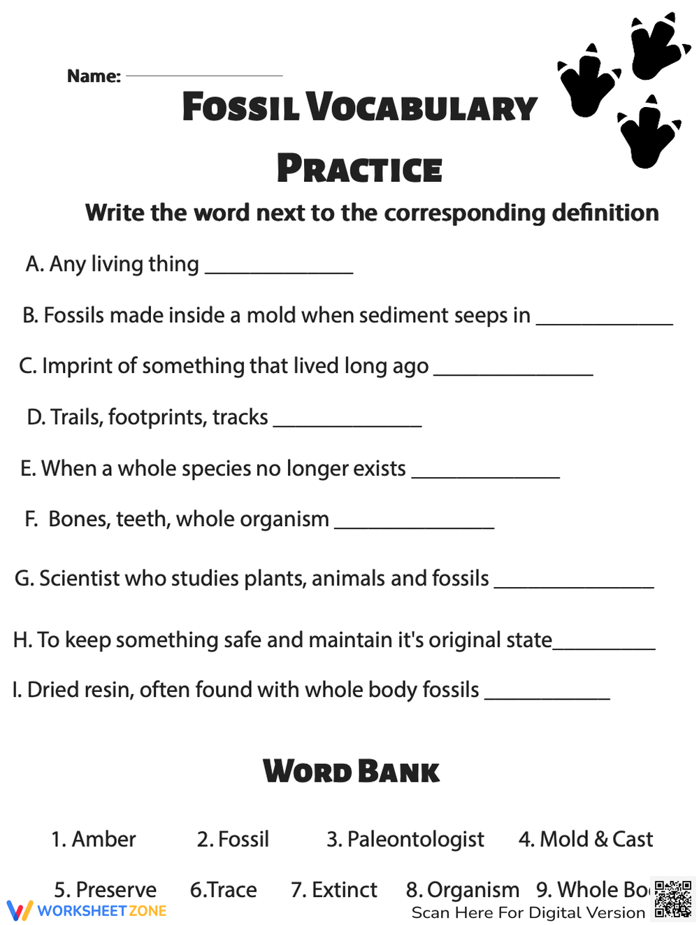 Fossils And Fossilization Free Printable Worksheets