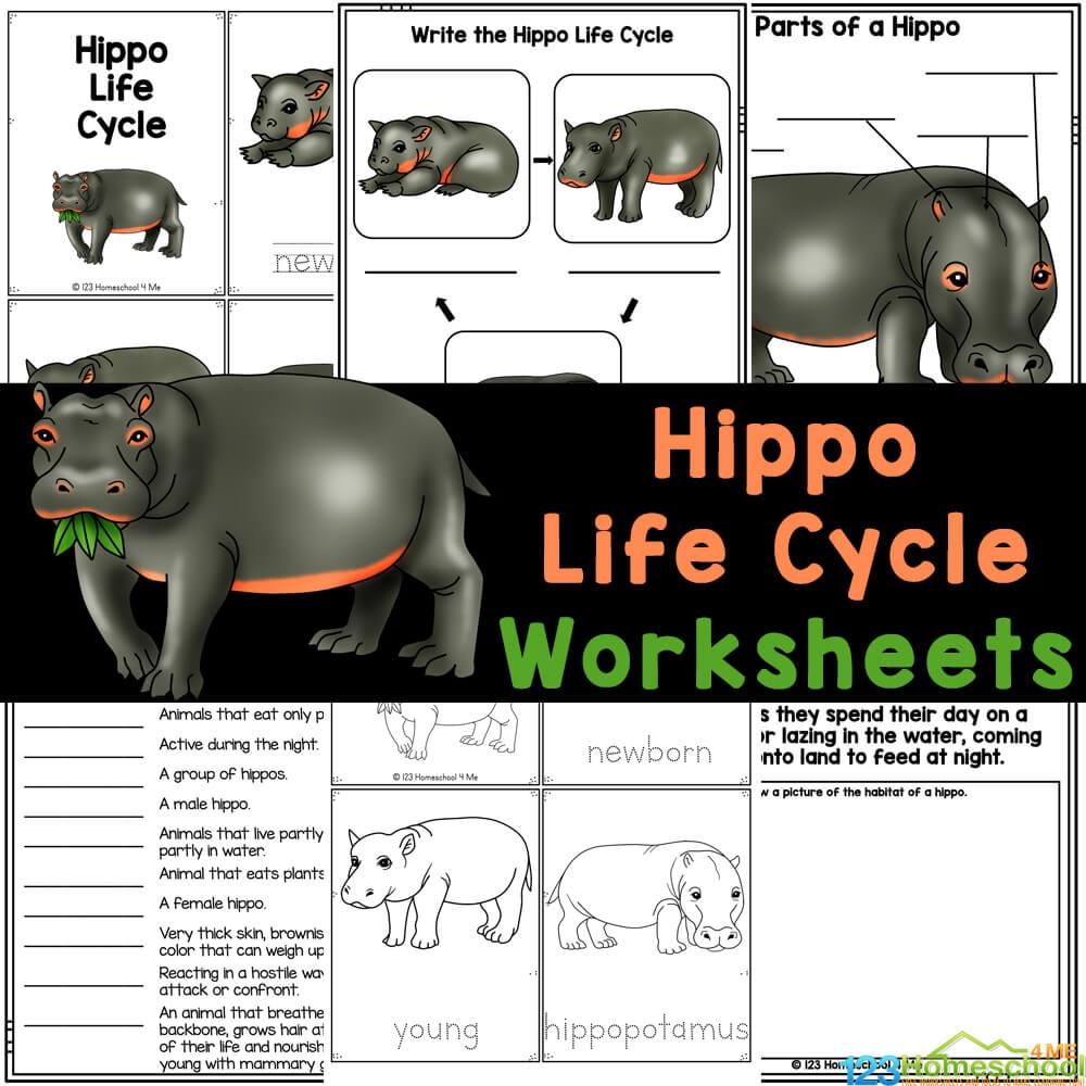 FREE Printable Hippo Life Cycle Worksheets For Kids FREE Printable Hippo Life Cycle Worksheets For Kids