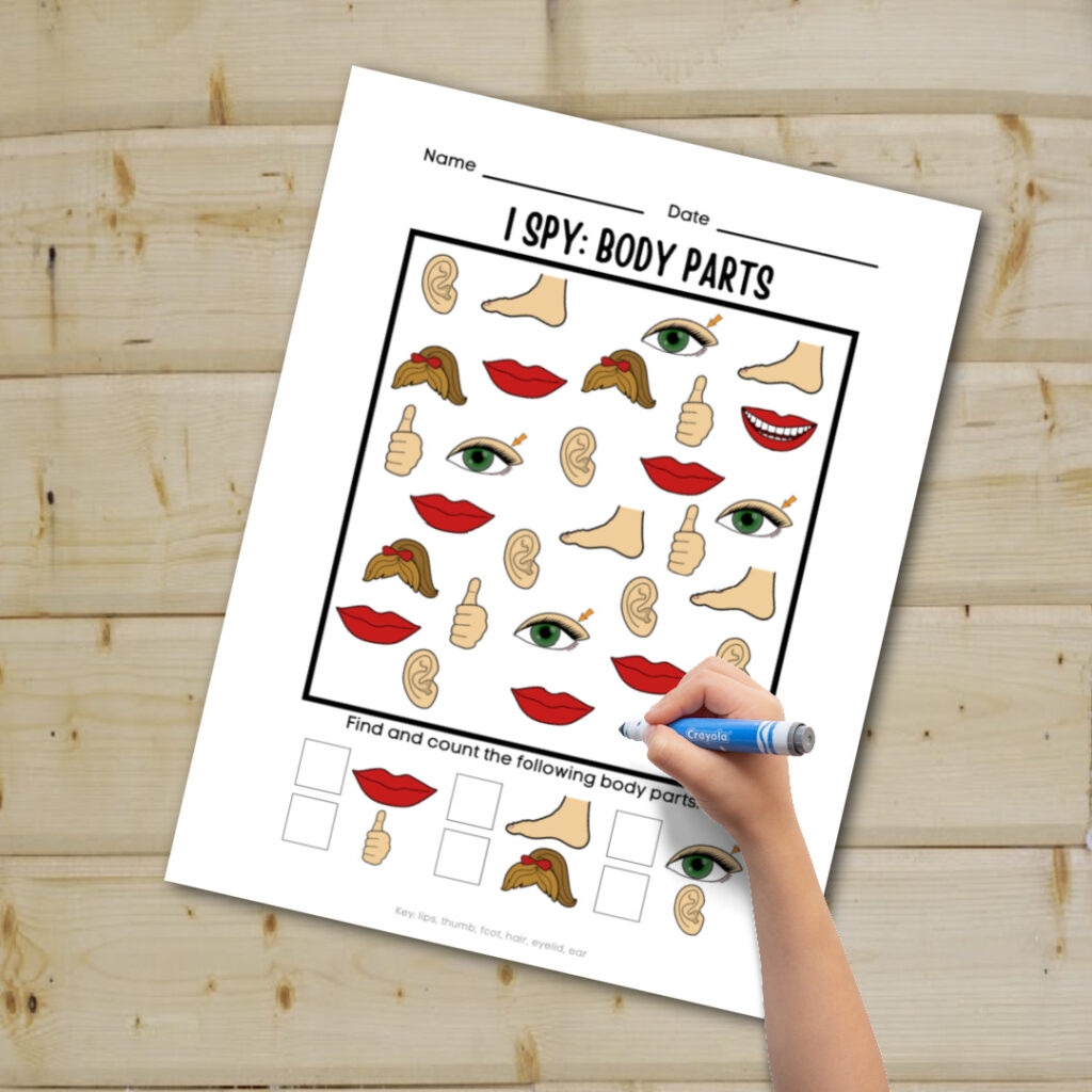 Toddler Preschool Printables Body Part Toddler Preschool Printables Body Part