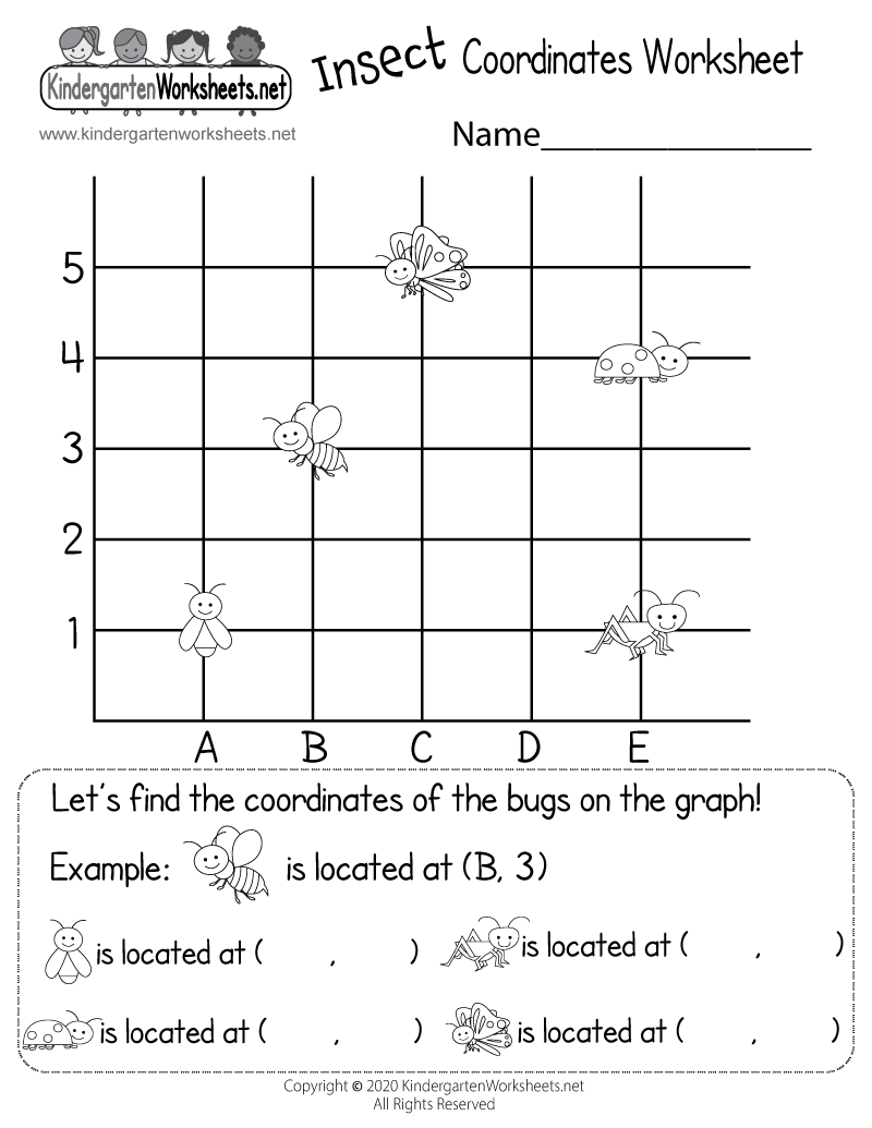 Free Insect Printables Worksheets