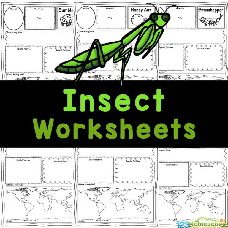  FREE Printable Insect Worksheets For Kids