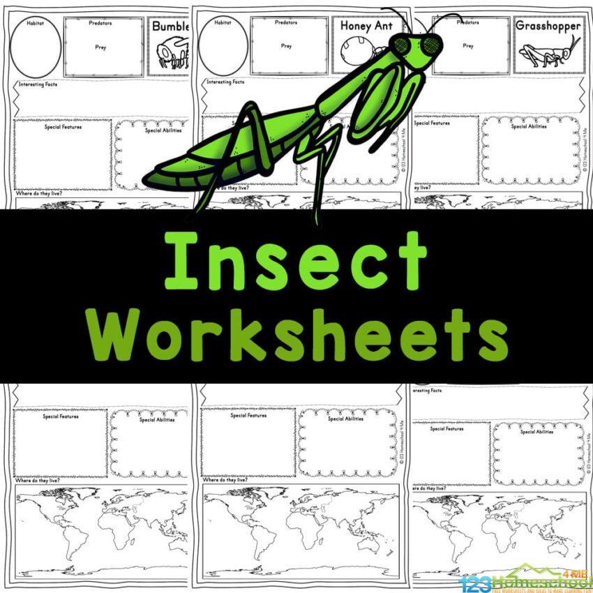 FREE Printable Insect Worksheets For Kids