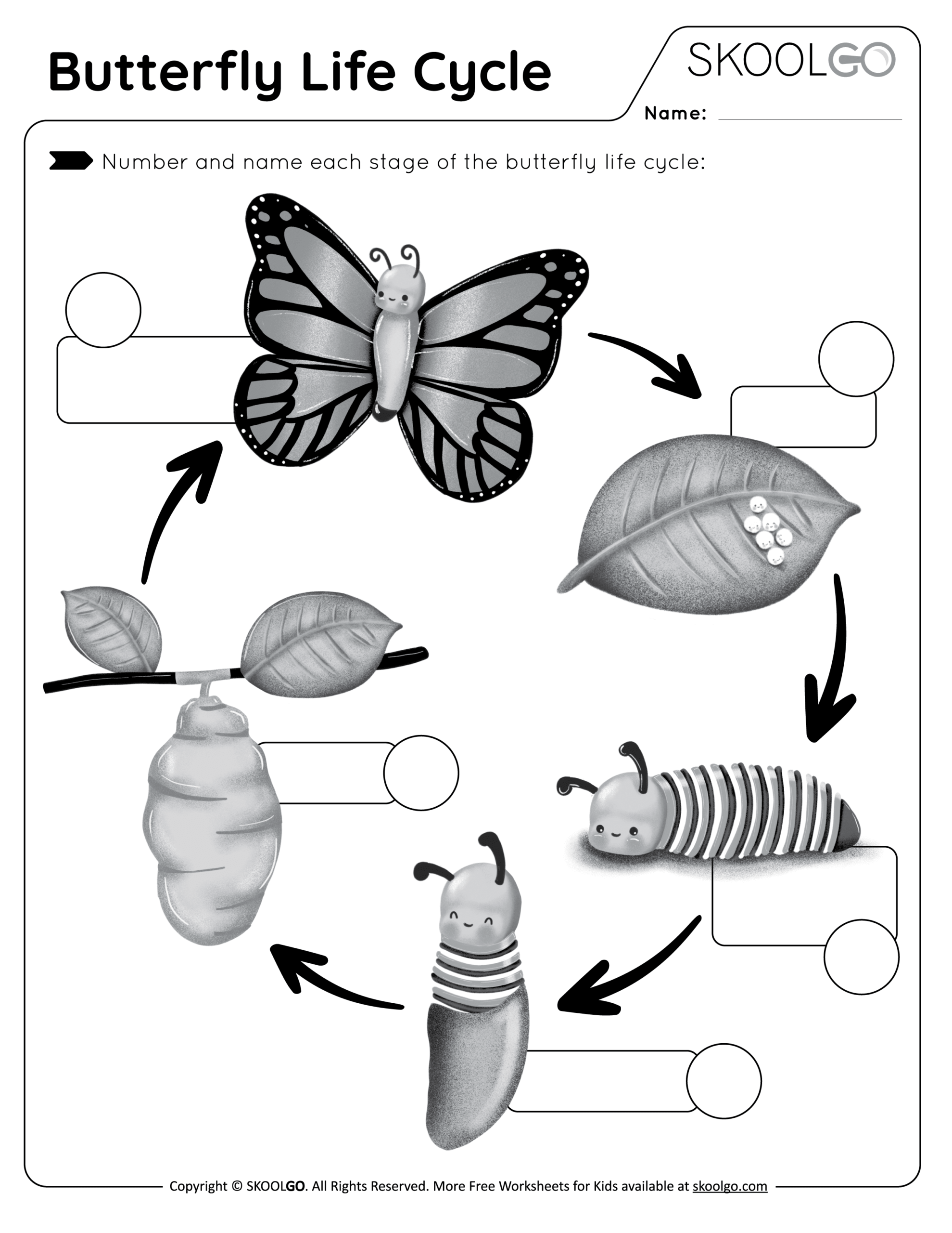 Free Printable Life Cycle Of A Butterfly Worksheet Worksheets Library