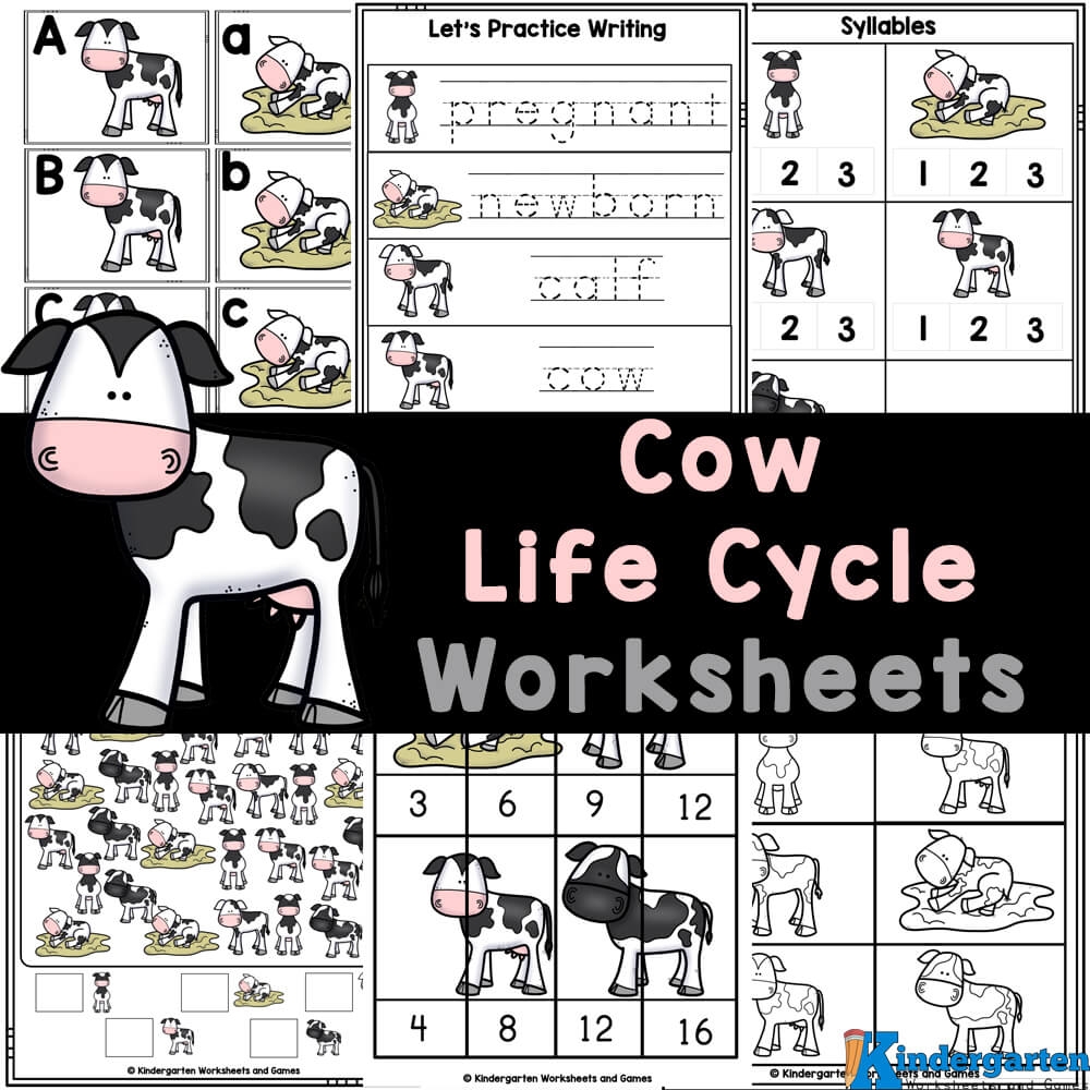 FREE Printable Life Cycle Of A Cow Worksheets For Pre k Kindergarten FREE Printable Life Cycle Of A Cow Worksheets For Pre k Kindergarten