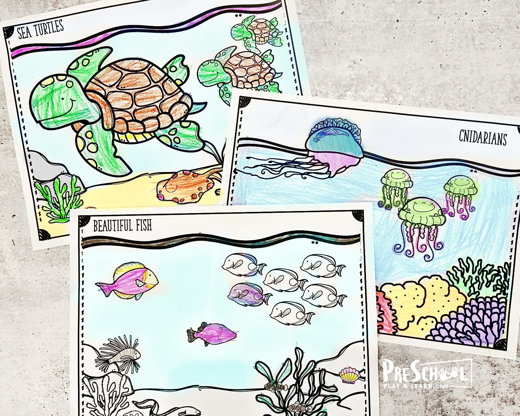 FREE Printable Ocean Coloring Pages FREE Printable Ocean Coloring Pages