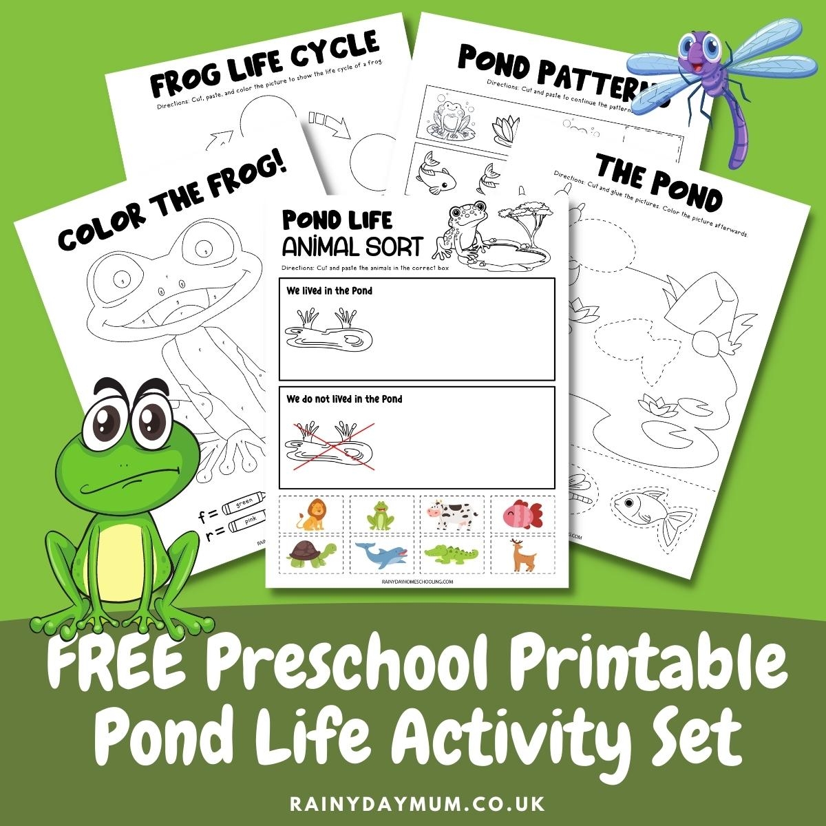 FREE Printable Preschool Pond Life Activity Pack FREE Printable Preschool Pond Life Activity Pack