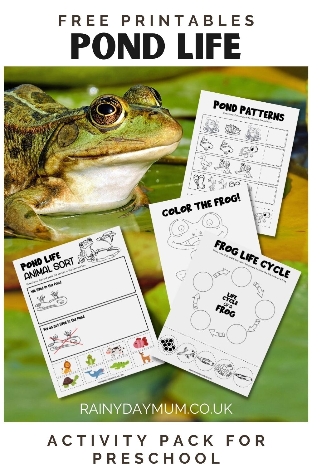 FREE Printable Preschool Pond Life Activity Pack FREE Printable Preschool Pond Life Activity Pack