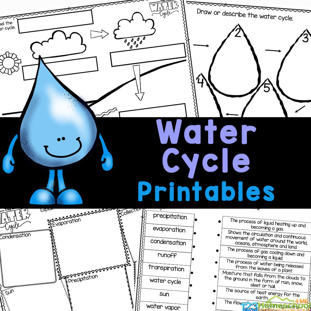  FREE Printable Water Cycle Worksheets For Kids
