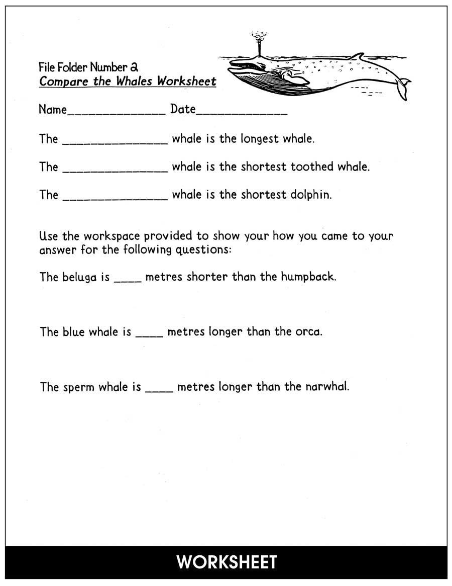 Free Whales Worksheet Download Free Whales Worksheet Png Images Free Worksheets On Clipart Library