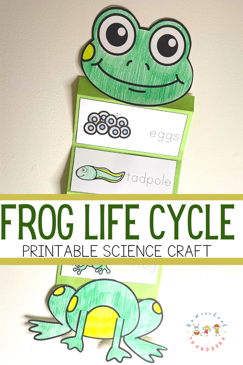 Frog Life Cycle Craft For Kids Free Template Frog Life Cycle Craft For Kids Free Template