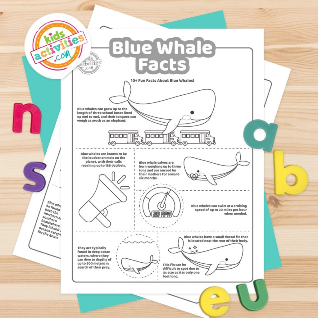 Free Worksheets On Whales 5th Grade