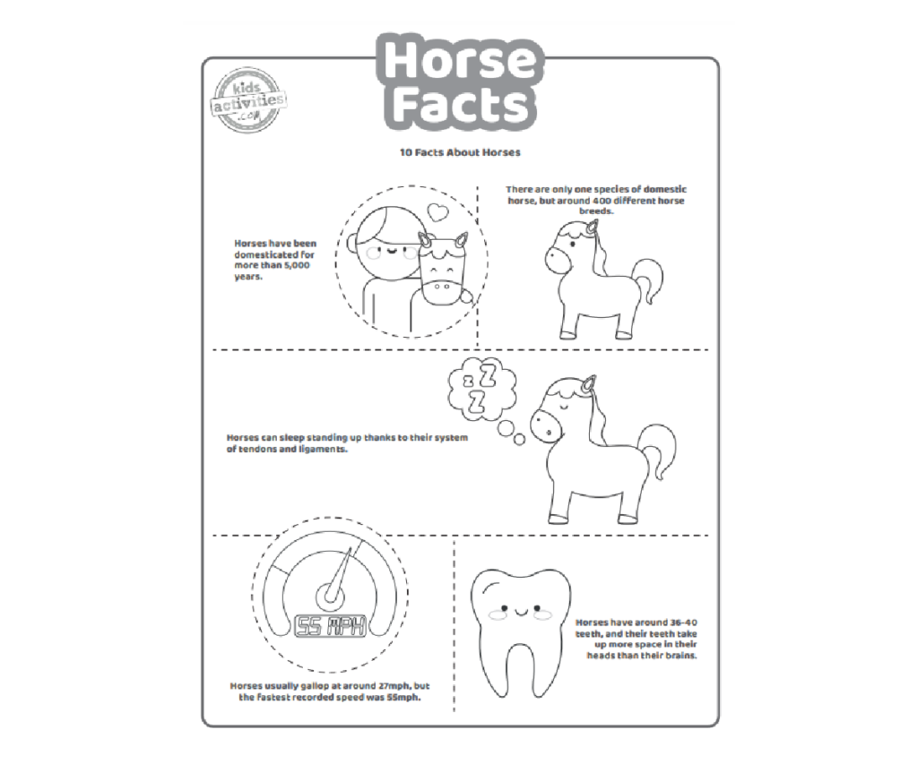 Fun Horse Facts For Kids To Print And Learn Kids Activities Blog