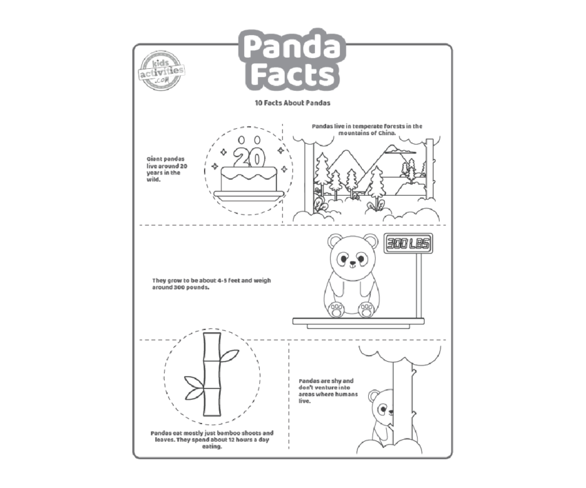 Fun Panda Facts For Kids Print And Learn Kids Activities Blog
