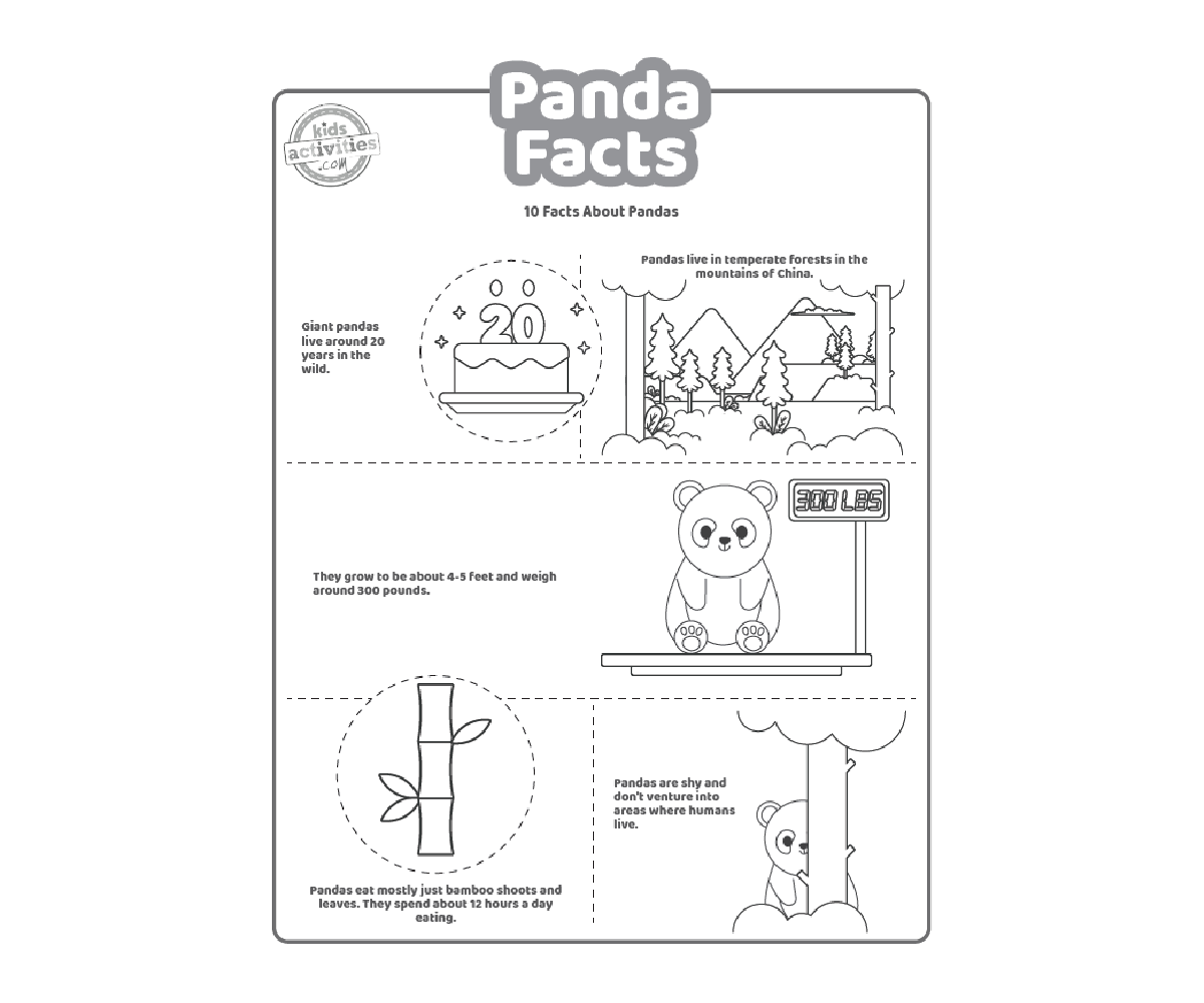 Fun Panda Facts For Kids Print And Learn Kids Activities Blog