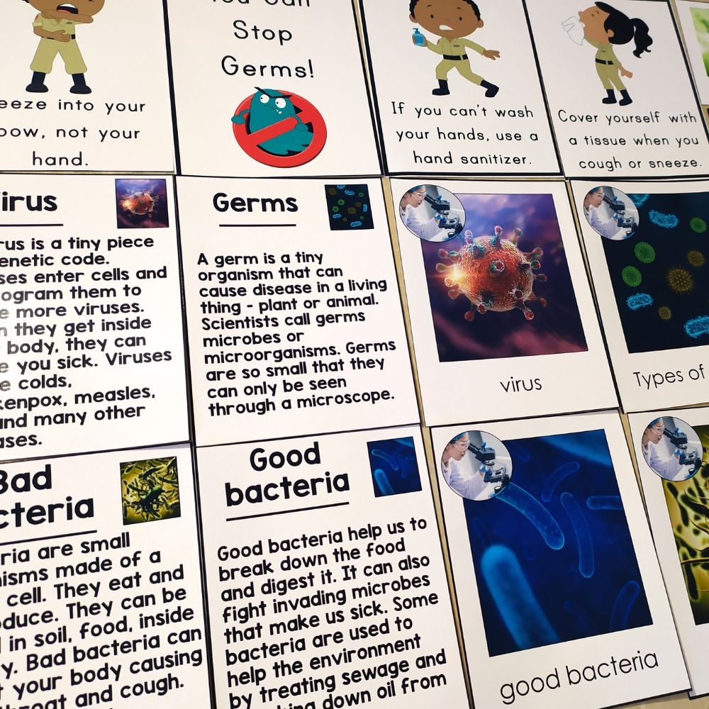 Free Worksheets On Germs Grade 3 Free Worksheets On Germs Grade 3