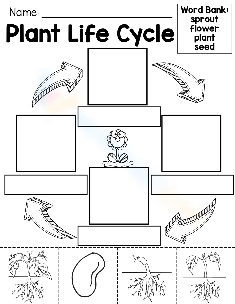 Free Plant Worksheets 2nd Grade