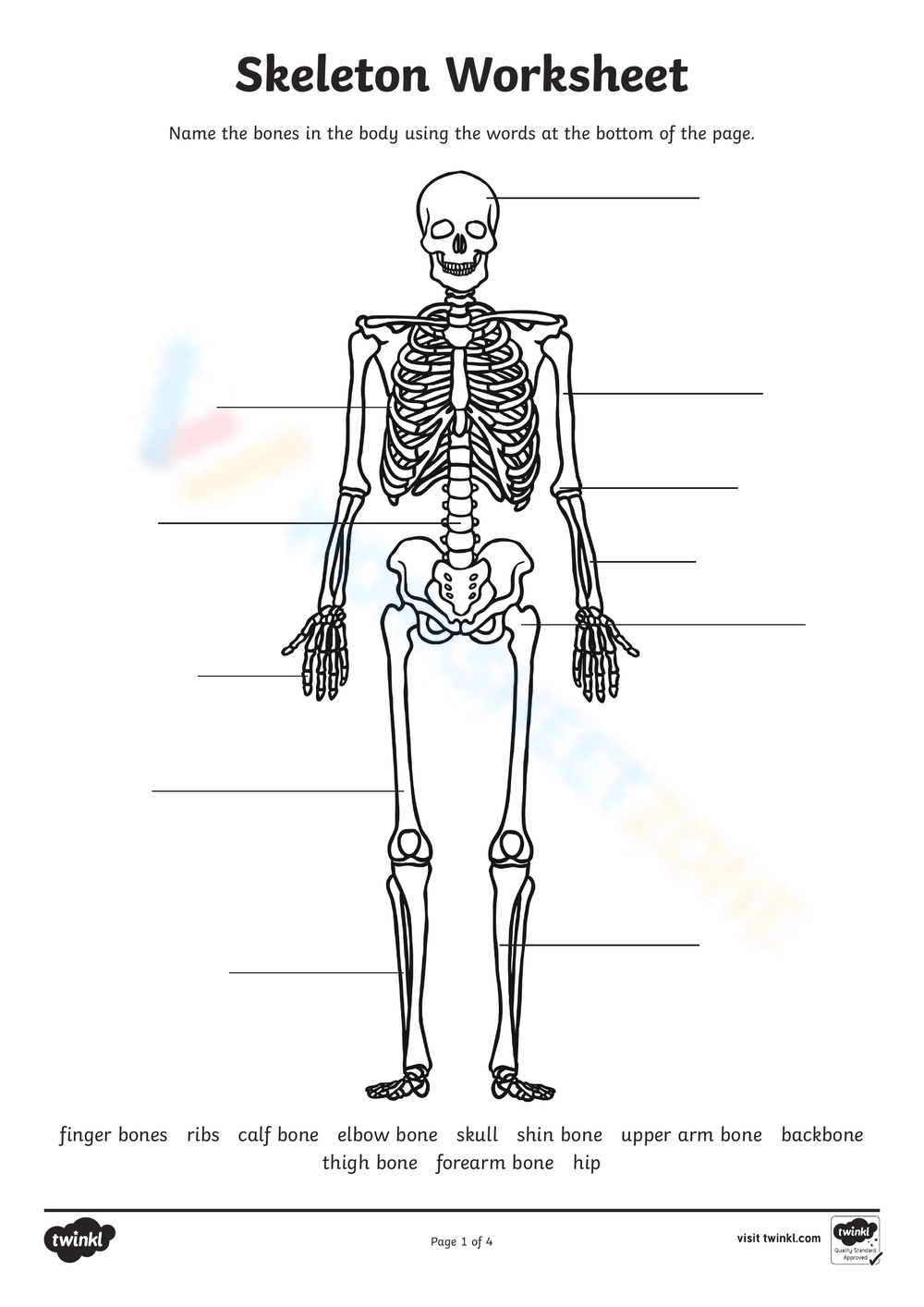 Free Health Worksheets For 3rd Grade
