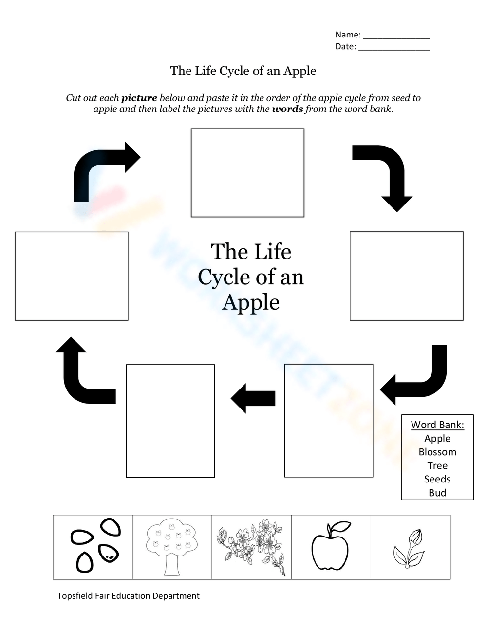 Grade 3 Easter Apple Life Cycle Printable Worksheets 2025 Grade 3 Easter Apple Life Cycle Printable Worksheets 2025