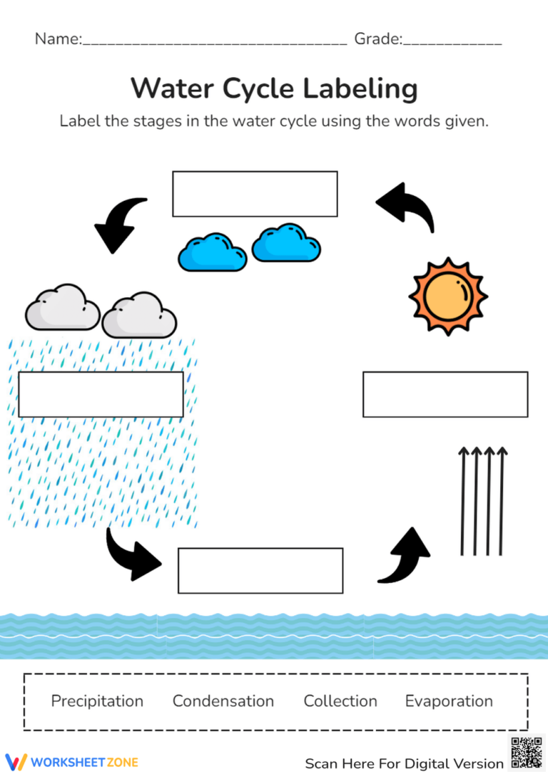 Grade 4 Water Worksheets
