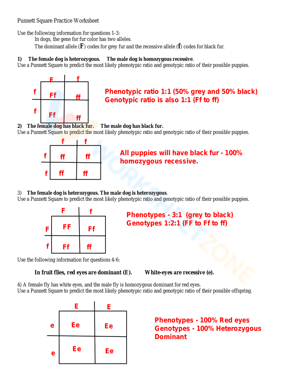 Grade 9 Biology Worksheets