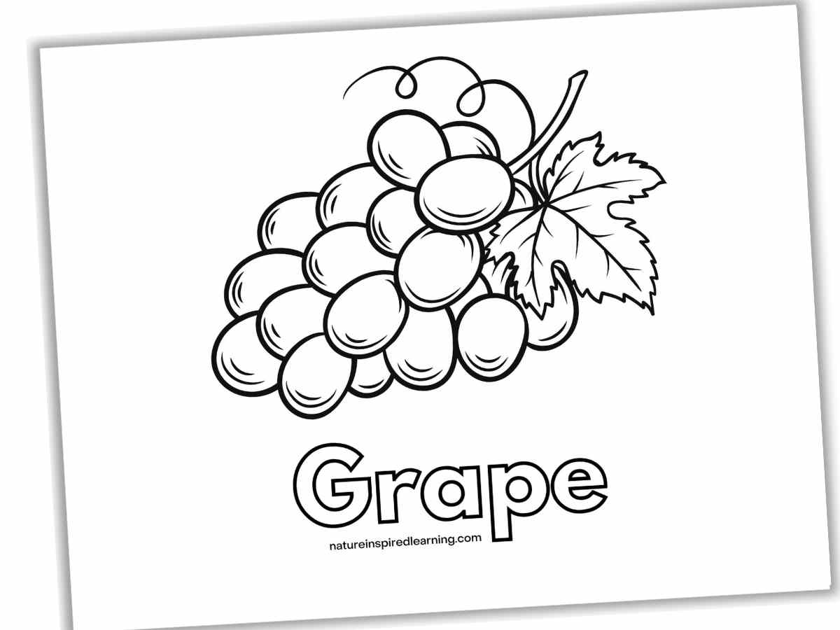 Grape Coloring Pages Nature Inspired Learning