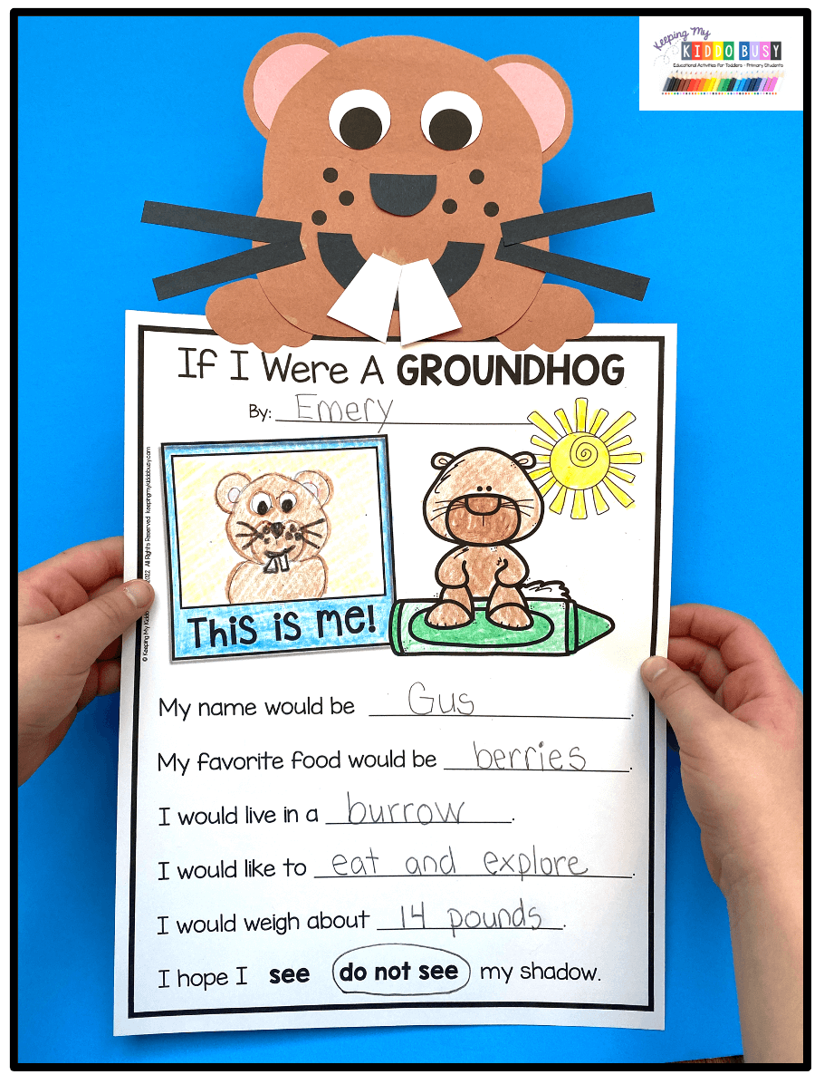 Groundhog Day Worksheets First Grade Free