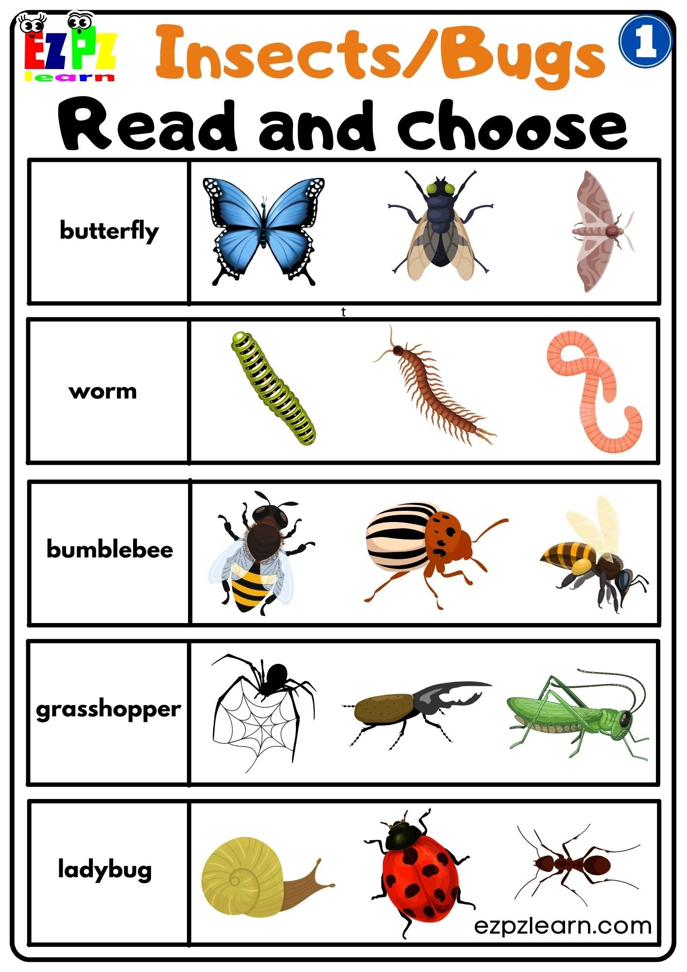 Group 1 Insects And Bugs Read And Choose Worksheet Free PDF Download For Teachers And Parents Ezpzlearn