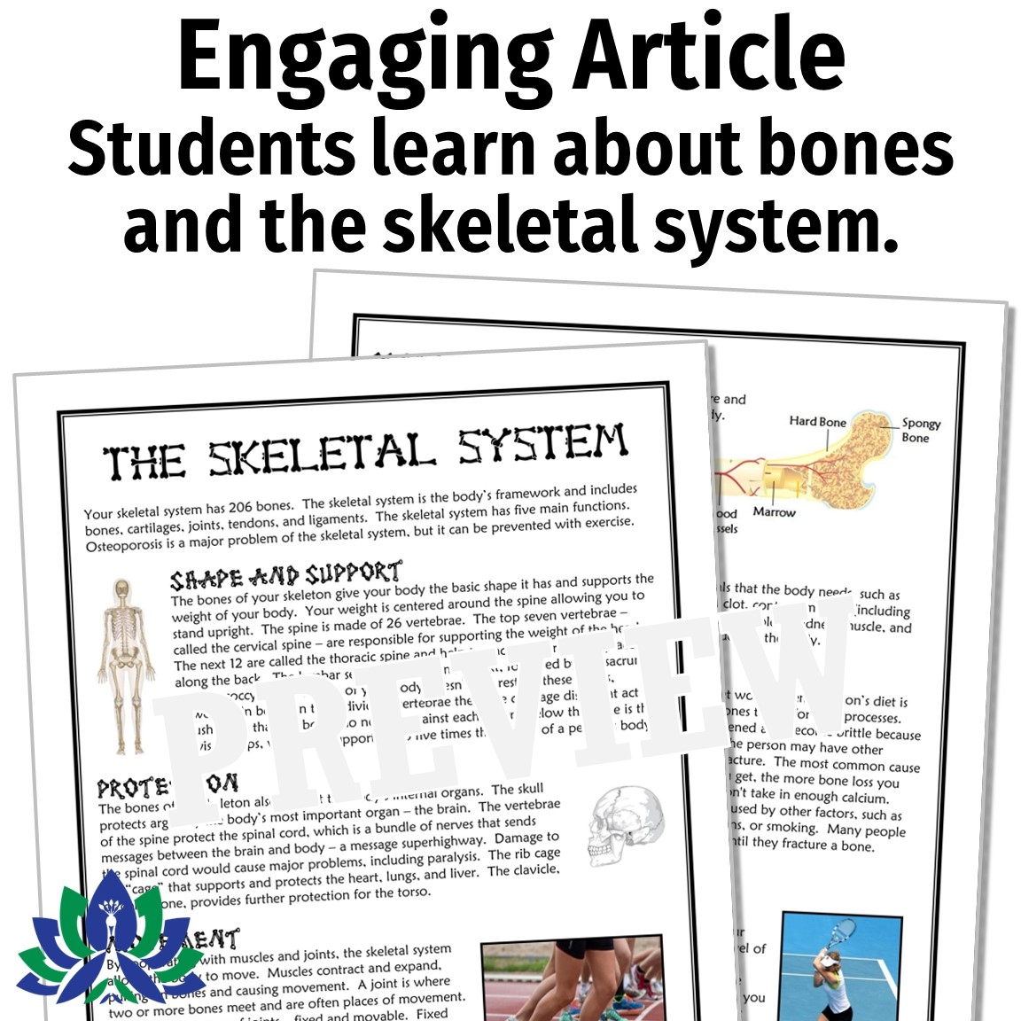 Halloween Science Reading Passage Skeletal System And Bones 