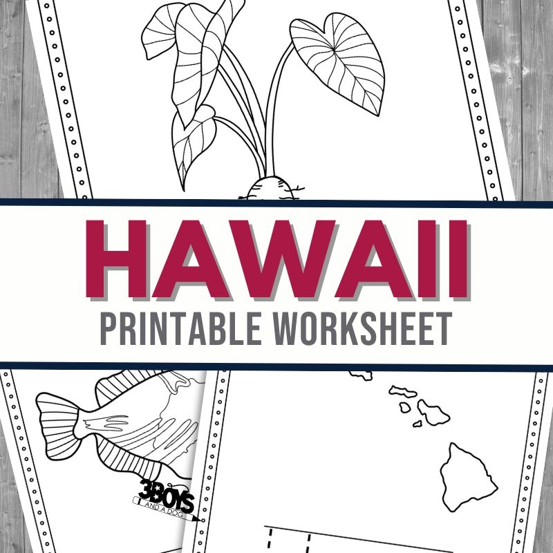 Hawaii Coloring And Handwriting Worksheets 3 Boys And A Dog