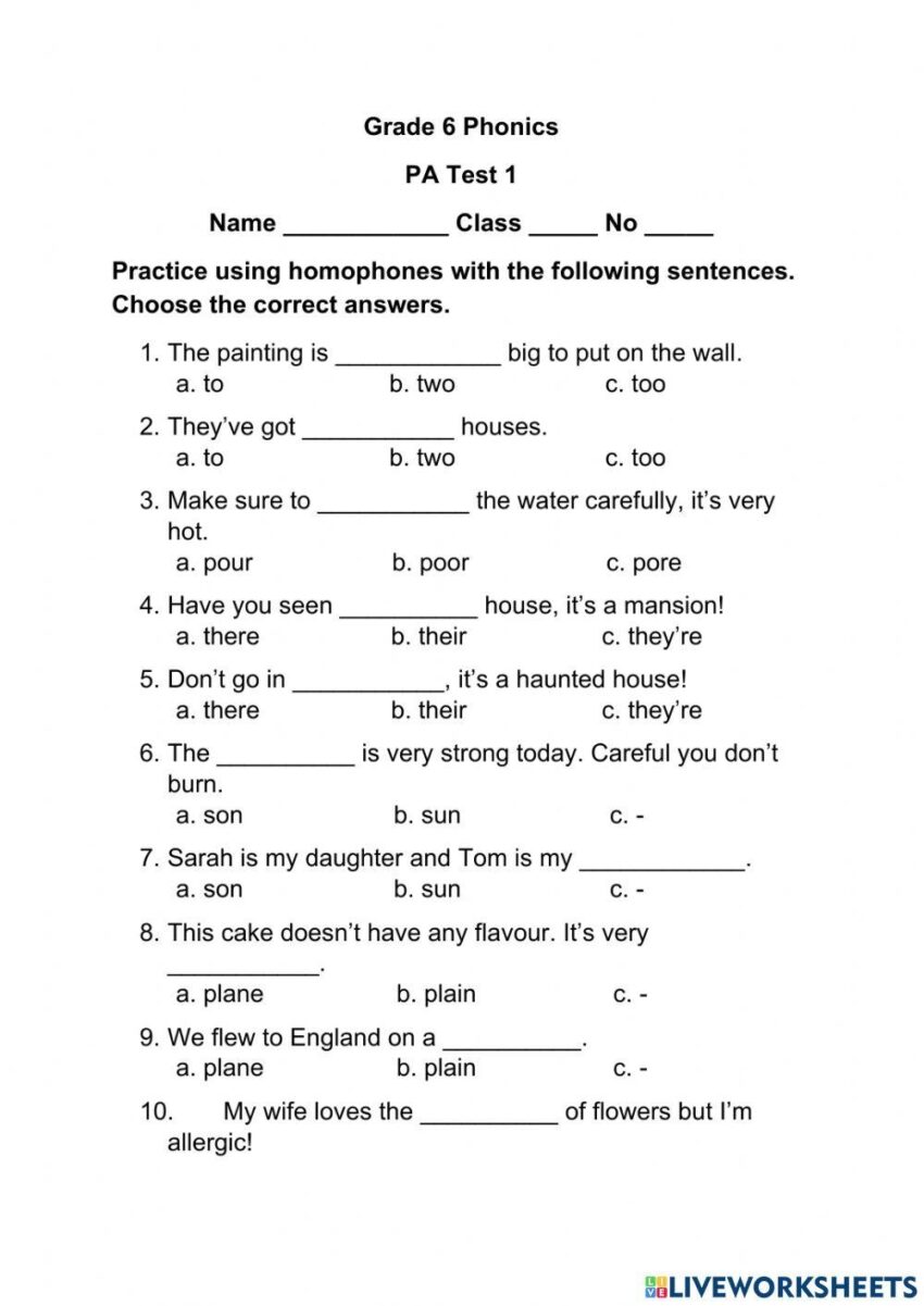 Homophones Activity For Grade 5 6 Worksheets Library
