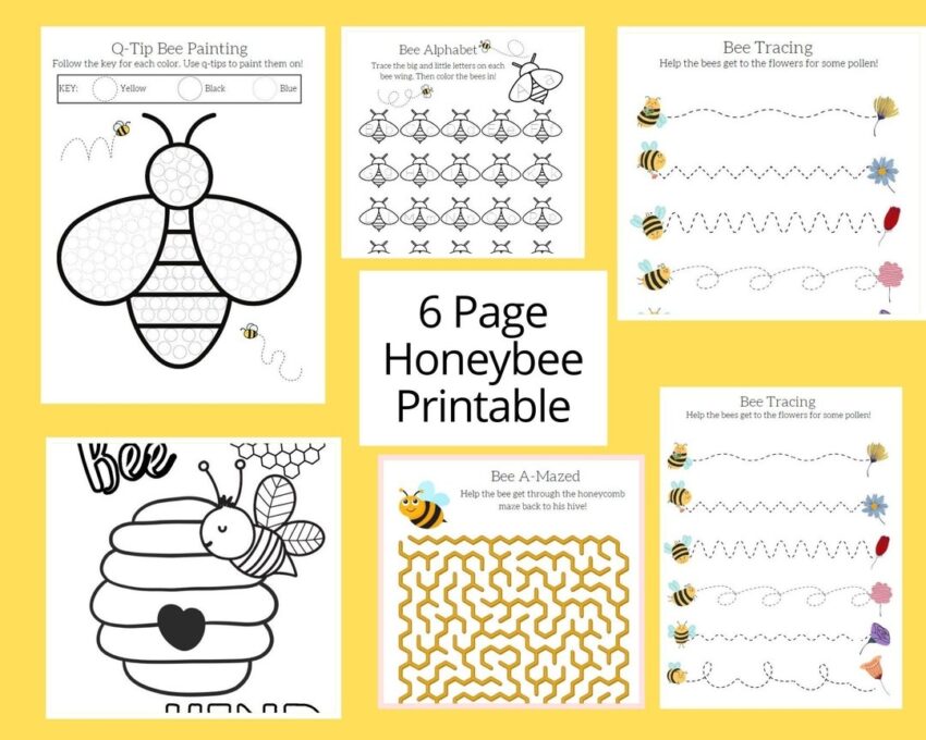 Honey Bee Printable Worksheets Worksheets For Preschool Kindergarten 1st Grade Bee Activity Printable Bee Printable Bee Coloring Pages Etsy